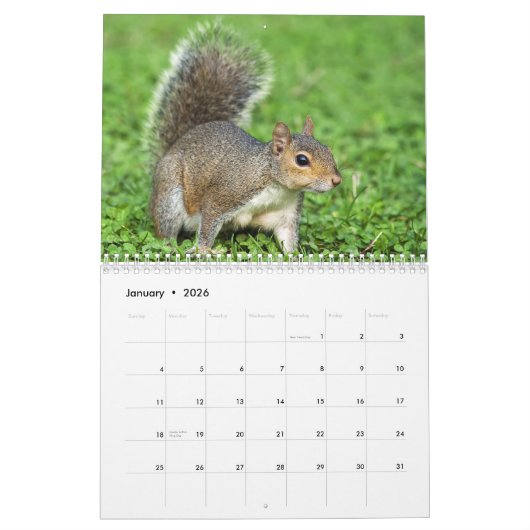 Wildlife Kalender (Jan 2026)
