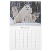 Wildlife Kalender (Feb 2027)