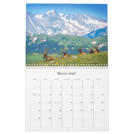 Wildlife Kalender (Mar 2026)