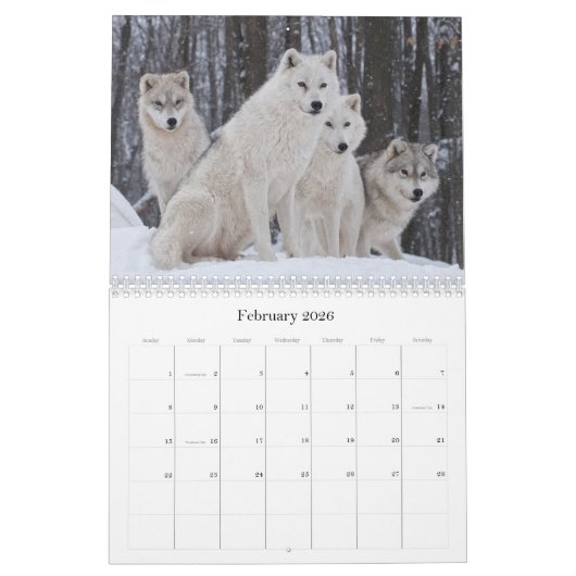 Wildlife Kalender (Feb 2026)