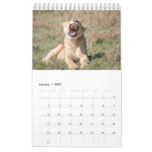 Wildlife Kalender 2021