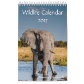 Wildlife Kalender 2021 (Hoes)