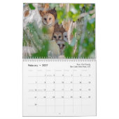 Wildlife kalender 2025 (Feb 2027)