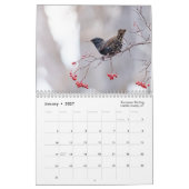 Wildlife kalender 2025 (Jan 2027)