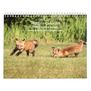 Wildlife Kalender 2025