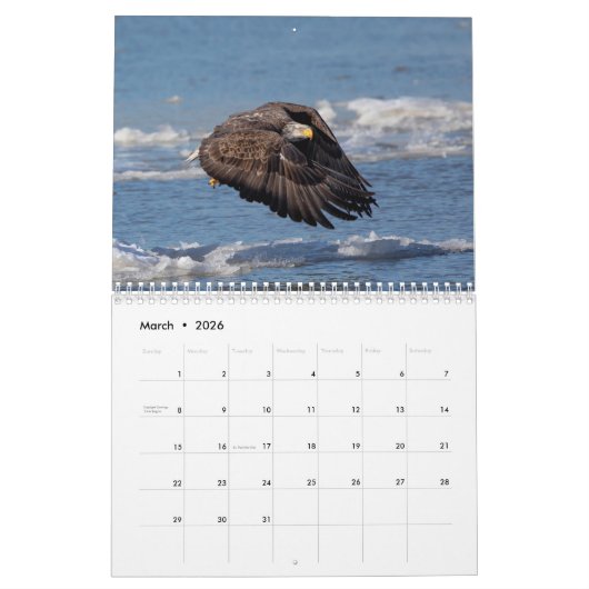 Wildlife Kalender 2026 (Mar 2026)