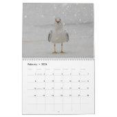Wildlife Kalender 2026 (Feb 2026)