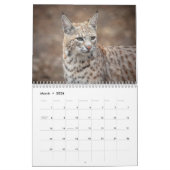 Wildlife Kalender 2026 (Mar 2026)