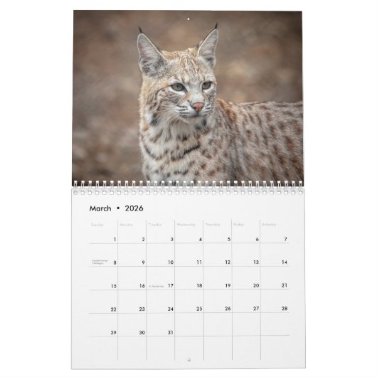 Wildlife Kalender 2026 (Mar 2026)