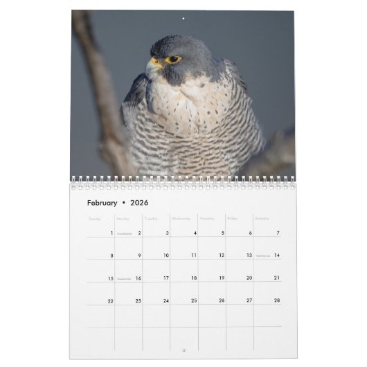 Wildlife Kalender 2026 (Feb 2026)
