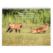 Wildlife Kalender 2026 (Hoes)