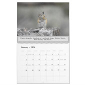 Wildlife kalender, wilde dieren, Chipmunk Cuteness Kalender (Feb 2026)