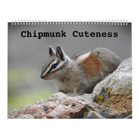 Wildlife kalender, wilde dieren, Chipmunk Cuteness Kalender (Hoes)