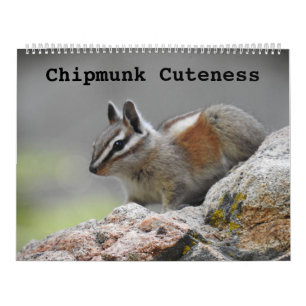 Wildlife kalender, wilde dieren, Chipmunk Cuteness Kalender