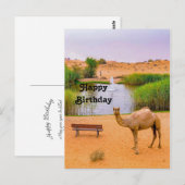 Wildlife Kameel Oase Foto Verjaardag Briefkaart (Voorkant / Achterkant)