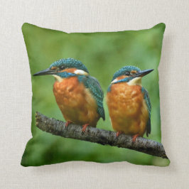 Wildlife Kingfisher Foto Kussen