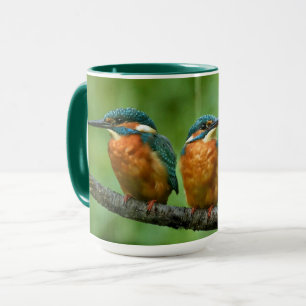 Wildlife Kingfisher Foto Mok