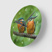 Wildlife Kingfisher Foto Ronde Klok (Hoek)