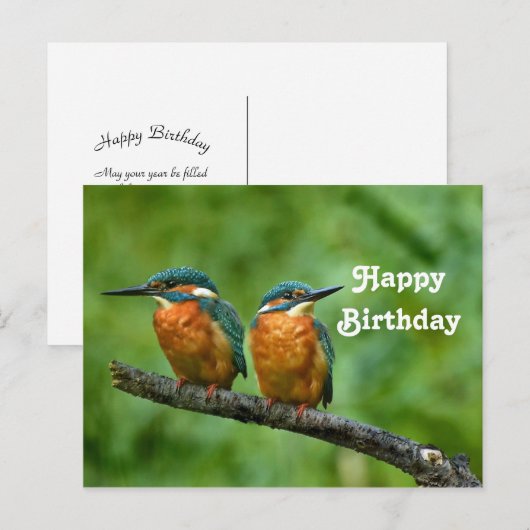 Wildlife Kingfisher Foto Verjaardag Briefkaart (Voorkant / Achterkant)