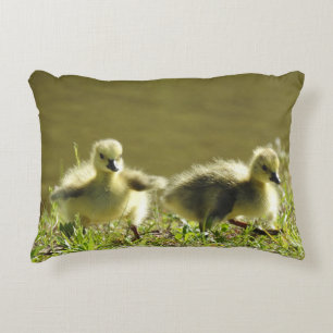 Wildlife kussen, baby goslings, Canadese ganzen, Accent Kussen