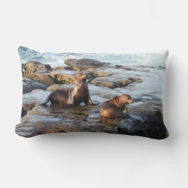 Wildlife kussen, California zee leeuwen, natuur Kussen