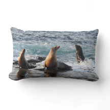 Wildlife kussen, Californische zee leeuw, natuur