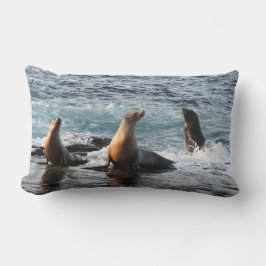 Wildlife kussen, Californische zee leeuw, natuur Kussen
