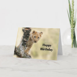 Wildlife Lion Cub Foto van Birthday Kaart