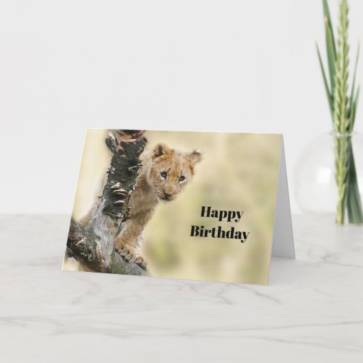 Wildlife Lion Cub Foto van Birthday Kaart (Voorkant)