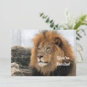 Wildlife Lion foto verjaardag Kaart (Staand voorkant)