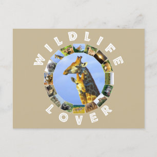 Wildlife Lover Giraffe knuffels Briefkaart