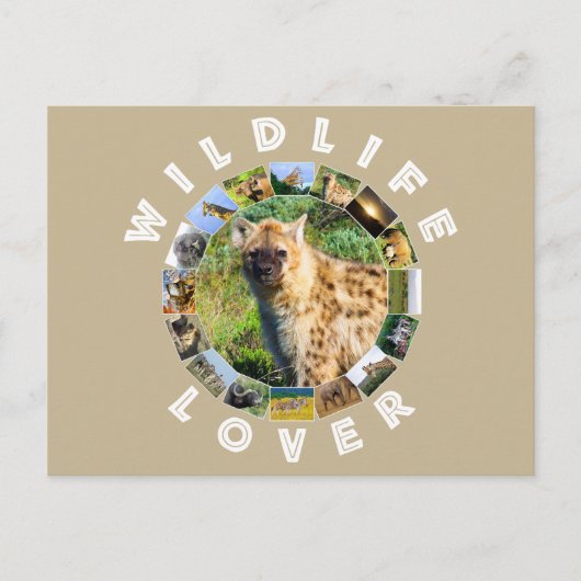 Wildlife Lover Spotted Hyena Briefkaart (Voorkant)