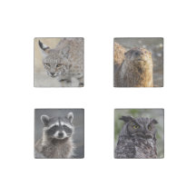 Wildlife Lovers Magneet Set