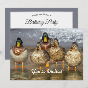 Wildlife Mallard Ducks Foto Birthday Kaart