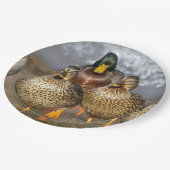 Wildlife Mallard Ducks Foto Papieren Bordje (Gekanteld)