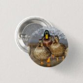 Wildlife Mallard Ducks Foto Ronde Button 3,2 Cm (Voorkant /achterkant)
