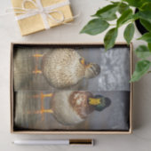 Wildlife Mallard Ducks Foto Tissuepapier (Geschenk)