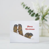 Wildlife Marmots SneeuwfotoKerstmis Briefkaart (Staand voorkant)