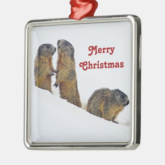 Wildlife Marmots SneeuwfotoKerstmis Metalen Ornament (Links)