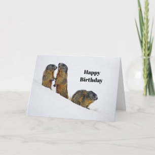 Wildlife Marmots Snow Photo Birthday Kaart