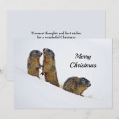 Wildlife Marmots Snow Photo Kerstmis Feestdagenkaart (Voorkant / Achterkant)