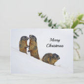 Wildlife Marmots Snow Photo Kerstmis Feestdagenkaart (Staand voorkant)