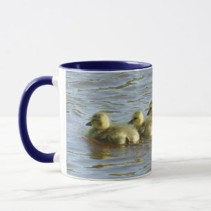 Wildlife mok, Canadese ganzen, baby goslings, chic Mok