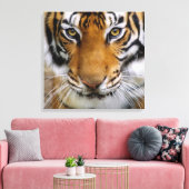Wildlife Mooie Tijger Piercing Bruine Ogen Canvas Afdruk (Insitu (Woonkamer))