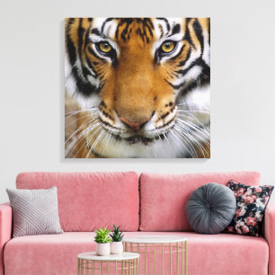 Wildlife Mooie Tijger Piercing Bruine Ogen Canvas Afdruk