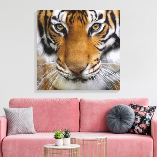 Wildlife Mooie Tijger Piercing Bruine Ogen Canvas Afdruk (Insitu (Woonkamer))