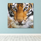 Wildlife Mooie Tijger Piercing Bruine Ogen Canvas Afdruk (Insitu (Houten vloer))