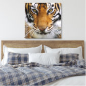 Wildlife Mooie Tijger Piercing Bruine Ogen Canvas Afdruk (Insitu (Slaapkamer))