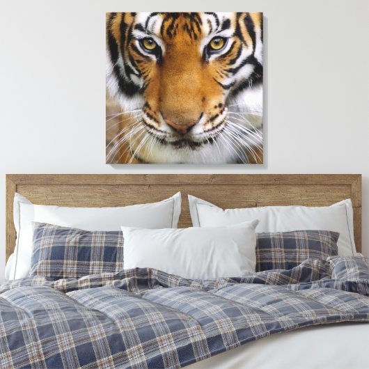 Wildlife Mooie Tijger Piercing Bruine Ogen Canvas Afdruk (Insitu (Slaapkamer))