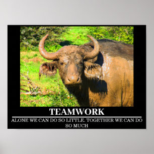 Wildlife Motivatie Posters Buffalo Teamwork